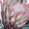 Dragon Leaf Flower Floral Canvas Wall Art Print - 12"x16"